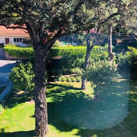 Soul Lab Eco Yoga Retreats Alcabideche